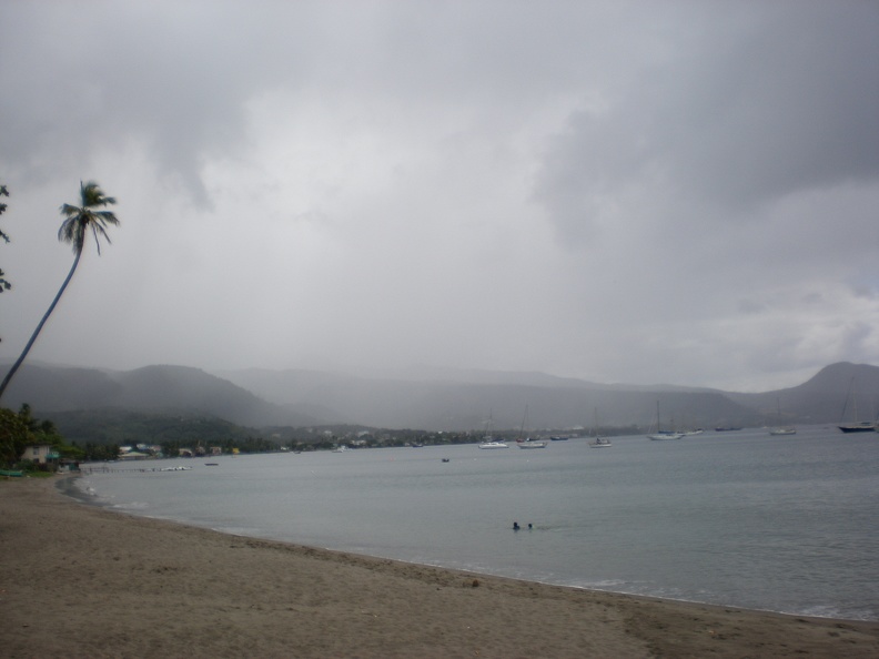 Dominica Indian River26.JPG